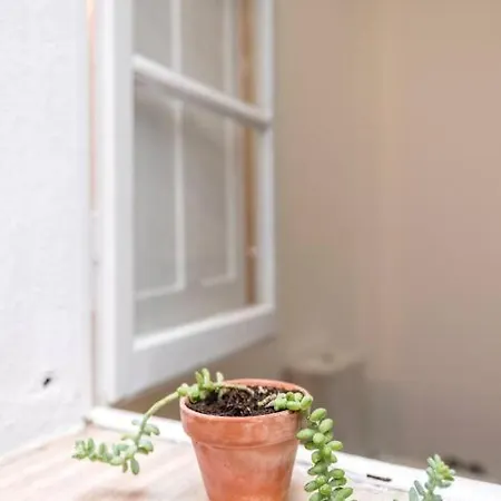 Traditional House: Private Pool And Sunny Terrace *