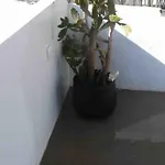 Traditional House: Private Pool And Sunny Terrace Villa Portimão